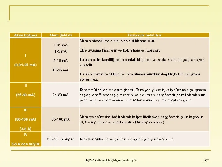 ESGO Elektrikle Çalışmalarda İSG