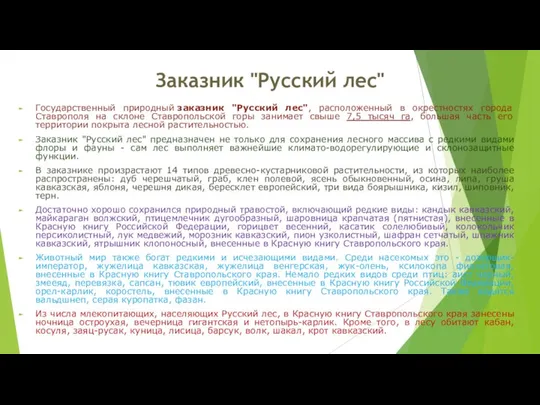 Заказник "Русский лес" Государственный природный заказник "Русский лес", расположенный в окрестностях