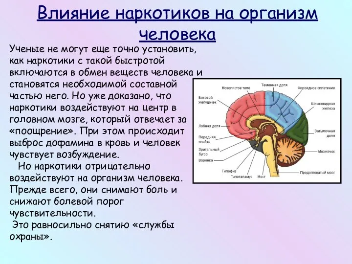 Ученые не могут еще точно установить, как наркотики с такой быстротой