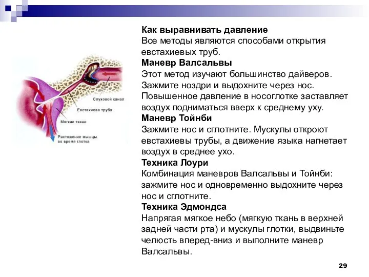 Как выравнивать давление Все методы являются способами открытия евстахиевых труб. Маневр