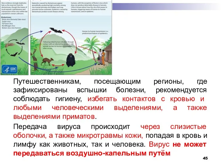 Путешественникам, посещающим регионы, где зафиксированы вспышки болезни, рекомендуется соблюдать гигиену, избегать