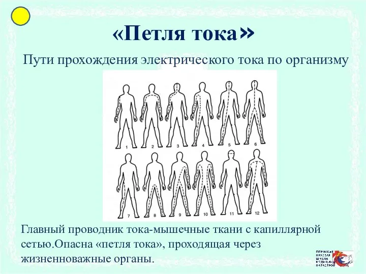 «Петля тока» Пути прохождения электрического тока по организму Главный проводник тока-мышечные