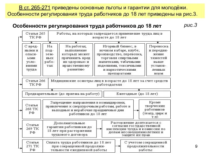 В ст. 265-271 приведены основные льготы и гарантии для молодёжи. Особенности