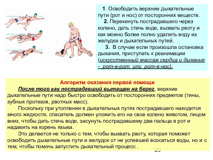 Алгоритм оказания первой помощи После того как пострадавший вытащен на берег,