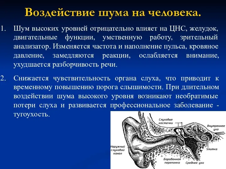 Воздействие шума на человека. Шум высоких уровней отрицательно влияет на ЦНС,