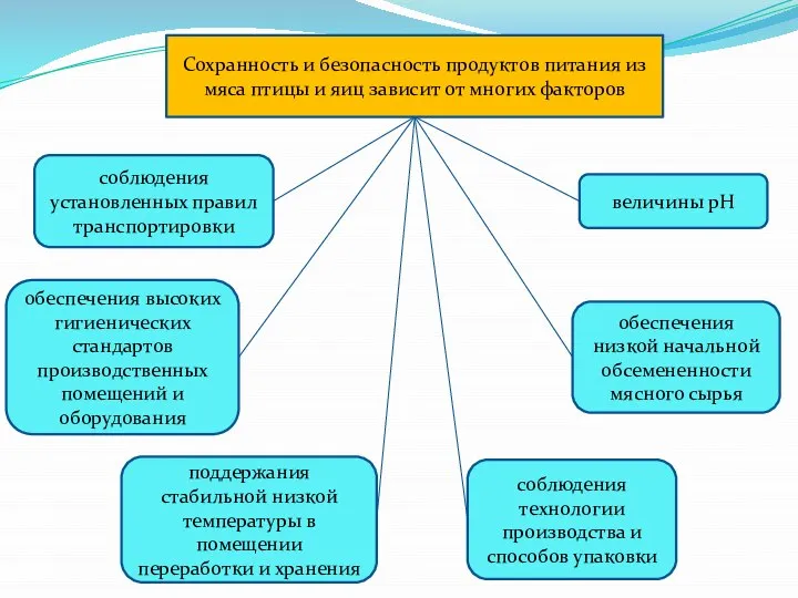 Сохранность и безопасность продуктов питания из мяса птицы и яиц зависит