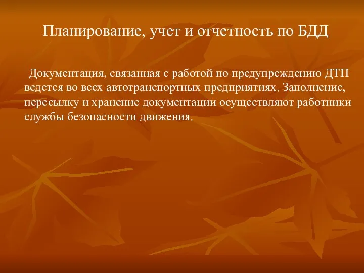 Планирование, учет и отчетность по БДД Документация, связанная с работой по