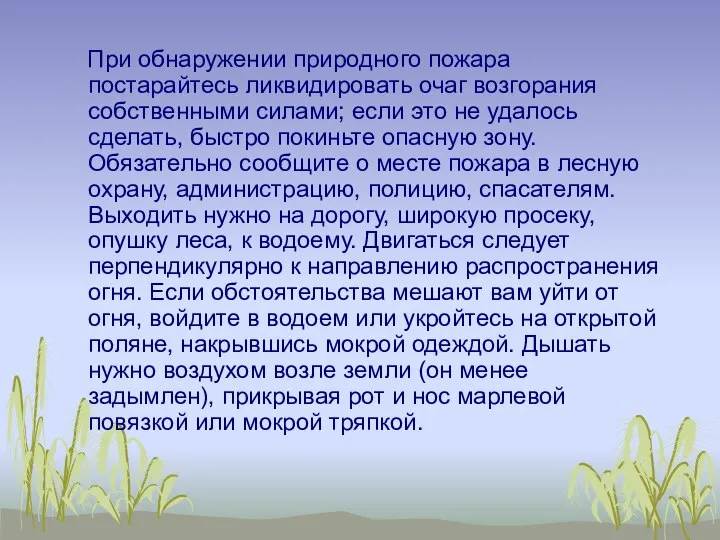 При обнаружении природного пожара постарайтесь ликвидировать очаг возгорания собственными силами; если