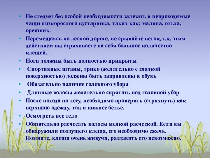 Не следует без особой необходимости залезать в непроходимые чащи низкорослого кустарника,