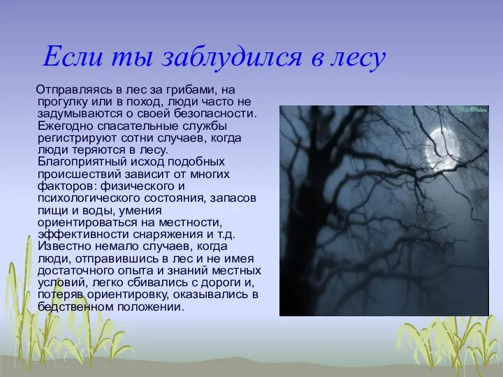 Если ты заблудился в лесу Отправляясь в лес за грибами, на