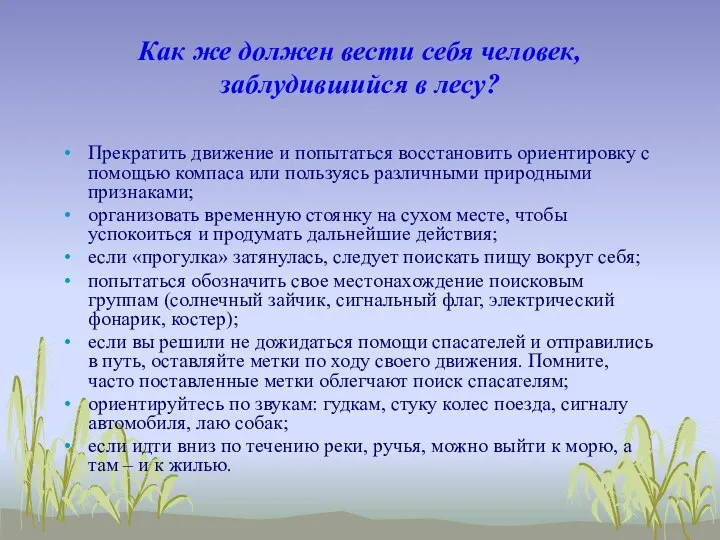 Как же должен вести себя человек, заблудившийся в лесу? Прекратить движение