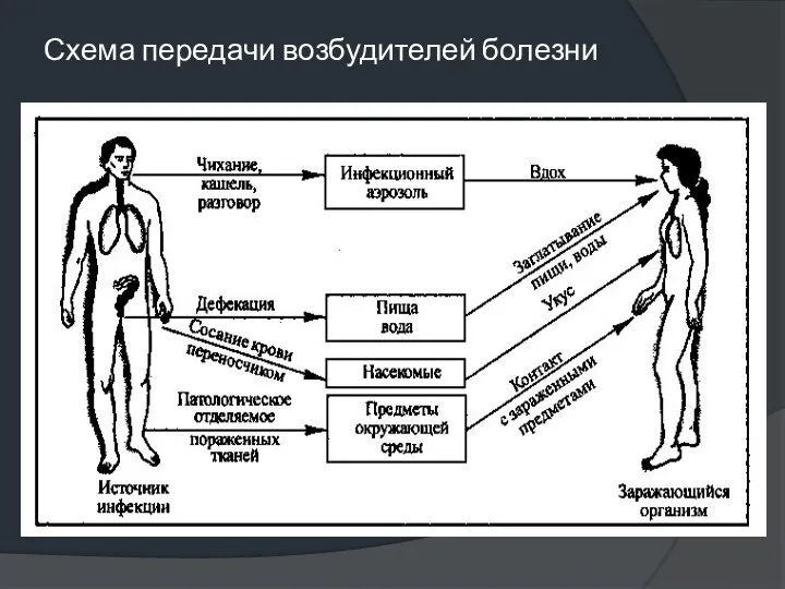 Схема передачи возбудителей болезни