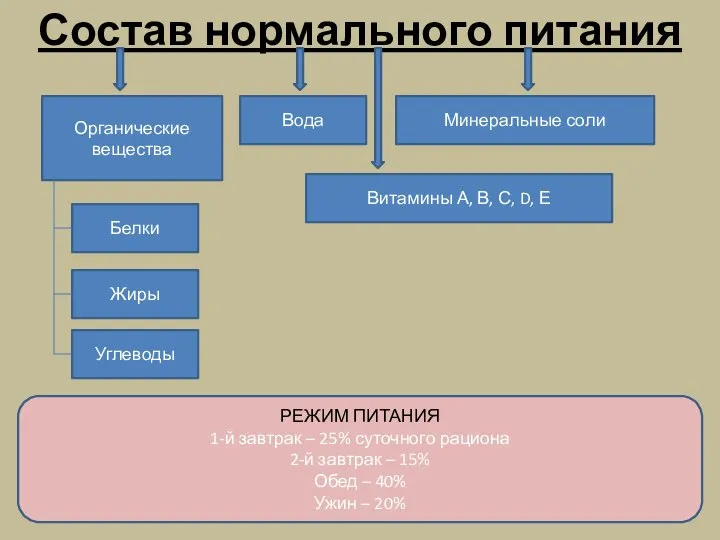 Состав нормального питания Органические вещества Белки Жиры Углеводы Вода Минеральные соли