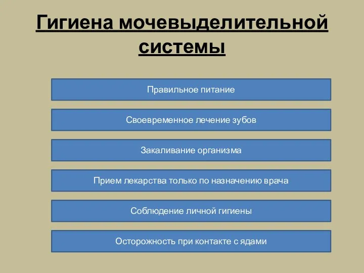 Гигиена мочевыделительной системы Правильное питание Своевременное лечение зубов Закаливание организма Прием