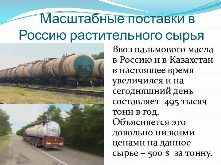 Масштабные поставки в Россию растительного сырья Ввоз пальмового масла в Россию