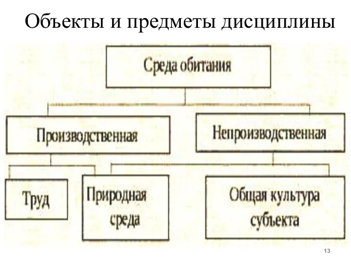 Объекты и предметы дисциплины