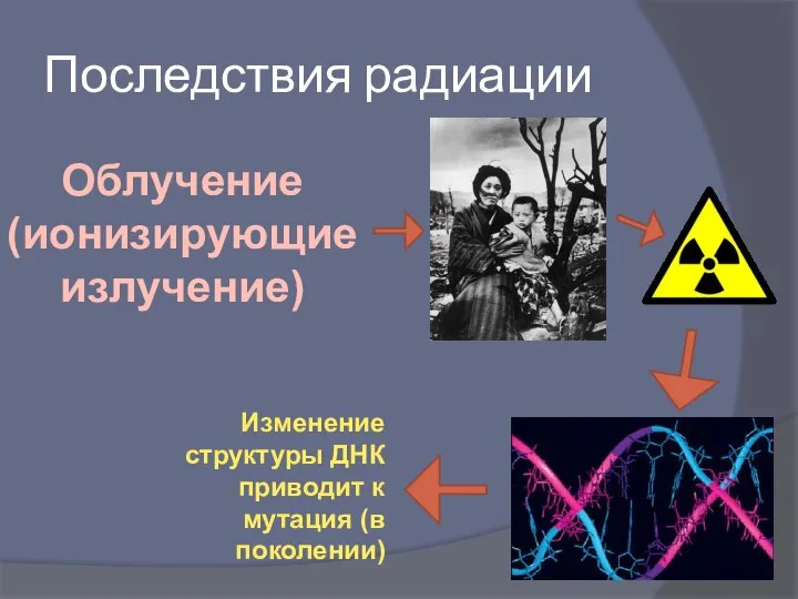 Последствия радиации Изменение структуры ДНК приводит к мутация (в поколении) Облучение (ионизирующие излучение)