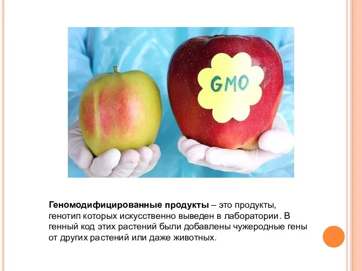 Геномодифицированные продукты – это продукты, генотип которых искусственно выведен в лаборатории.
