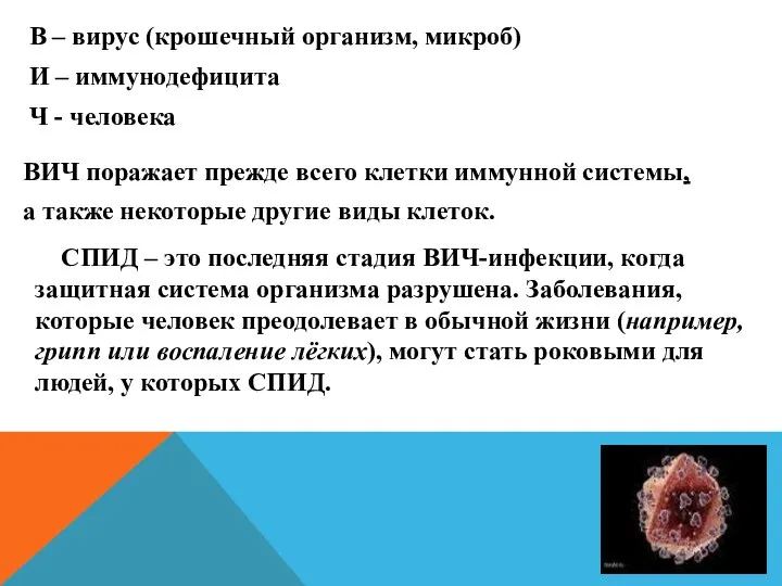 В – вирус (крошечный организм, микроб) И – иммунодефицита Ч -