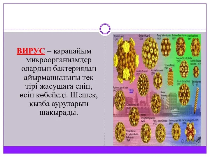 ВИРУС – қарапайым микроорганизмдер олардың бактериядан айырмашылығы тек тірі жасушаға еніп,