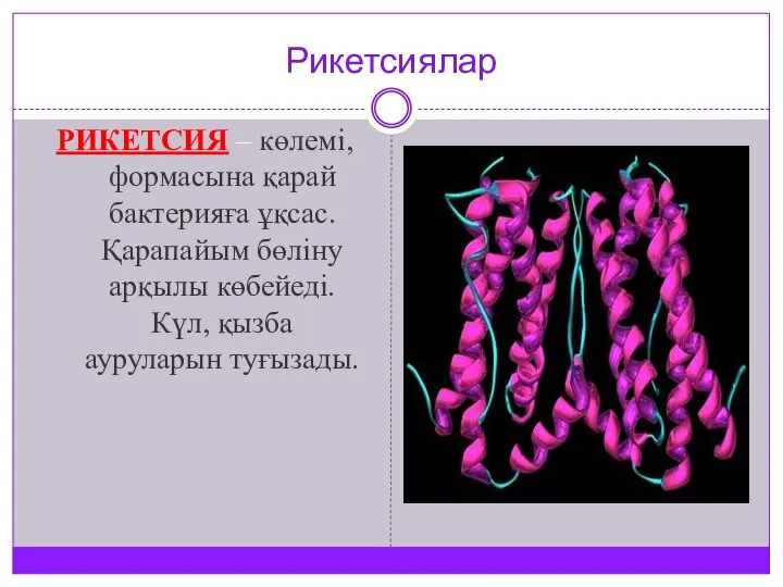 Рикетсиялар РИКЕТСИЯ – көлемі, формасына қарай бактерияға ұқсас. Қарапайым бөліну арқылы көбейеді. Күл, қызба ауруларын туғызады.