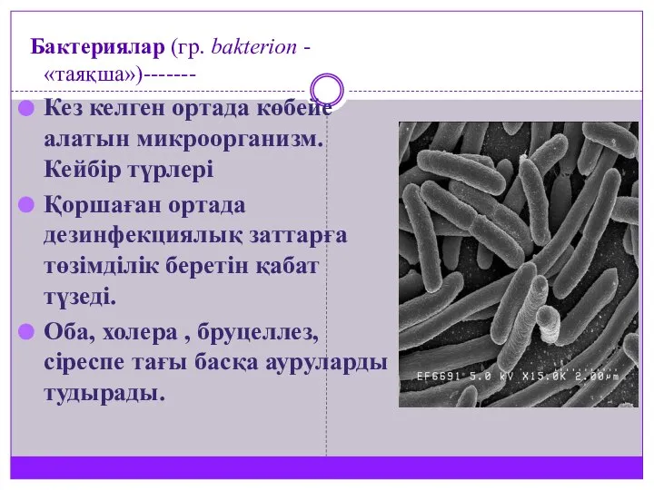 Бактериялар (гр. bakterion - «таяқша»)------- Кез келген ортада көбейе алатын микроорганизм.