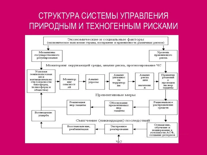 СТРУКТУРА СИСТЕМЫ УПРАВЛЕНИЯ ПРИРОДНЫМ И ТЕХНОГЕННЫМ РИСКАМИ