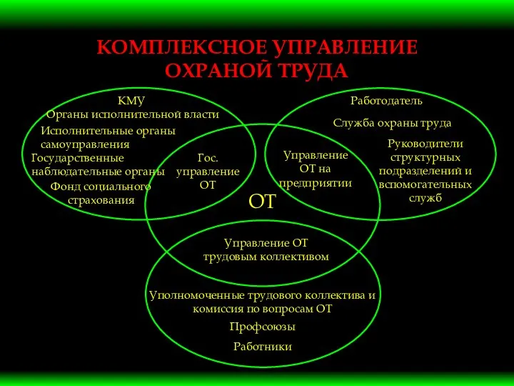 КОМПЛЕКСНОЕ УПРАВЛЕНИЕ ОХРАНОЙ ТРУДА КМУ Органы исполнительной власти Исполнительные органы самоуправления