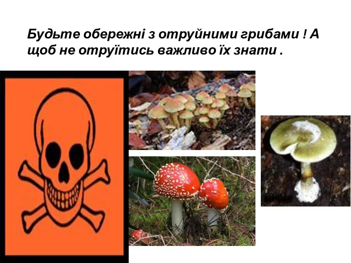 Будьте обережні з отруйними грибами ! А щоб не отруїтись важливо їх знати .