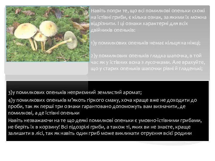 Навіть попри те, що всі помилкові опеньки схожі на їстівні гриби,