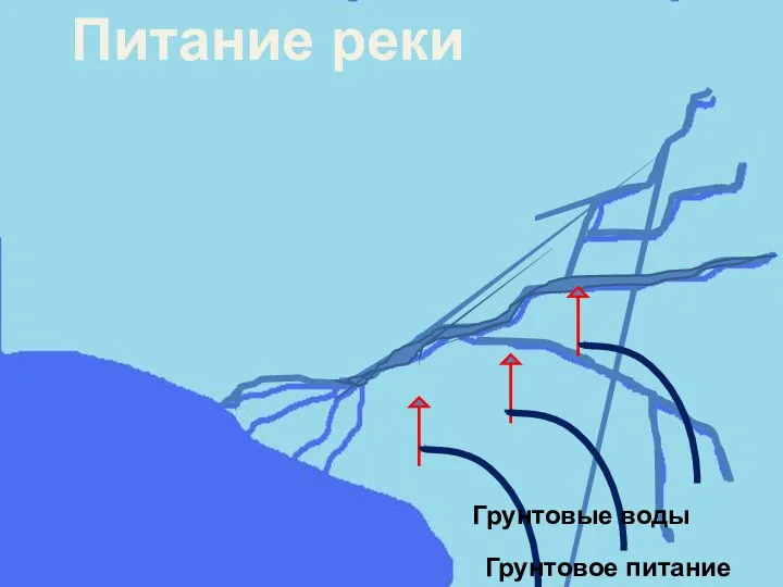 Питание реки Грунтовые воды Грунтовое питание