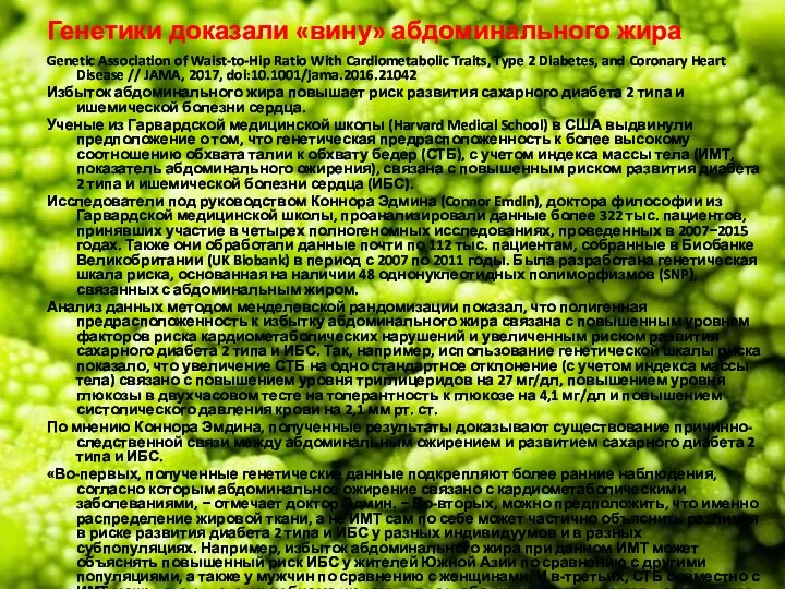 Генетики доказали «вину» абдоминального жира Genetic Association of Waist-to-Hip Ratio With