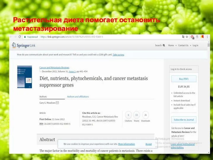 Растительная диета помогает остановить метастазирование