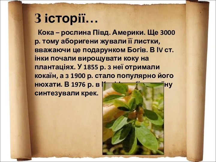 З історії… Кока – рослина Півд. Америки. Ще 3000 р. тому