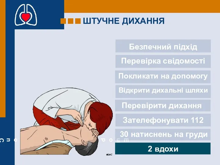 ШТУЧНЕ ДИХАННЯ Безпечний підхід Перевірка свідомості Покликати на допомогу Відкрити дихальні