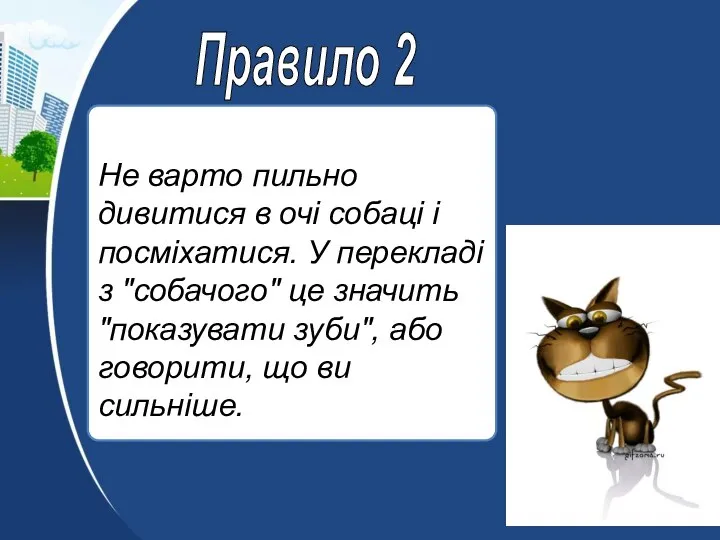 Не варто пильно дивитися в очі собаці і посміхатися. У перекладі