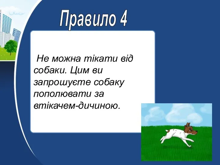 Не можна тікати від собаки. Цим ви запрошуєте собаку пополювати за втікачем-дичиною. Правило 4