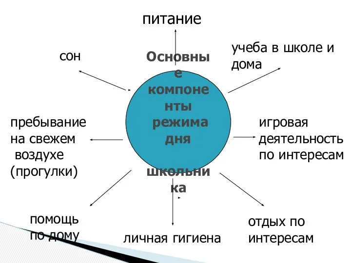 Основные компоненты режима дня школьника сон пребывание на свежем воздухе (прогулки)