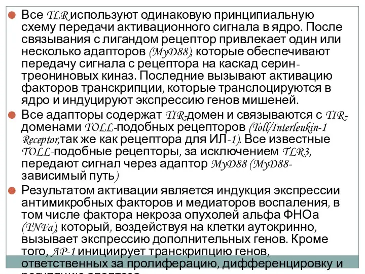 Все TLR используют одинаковую принципиальную схему передачи активационного сигнала в ядро.