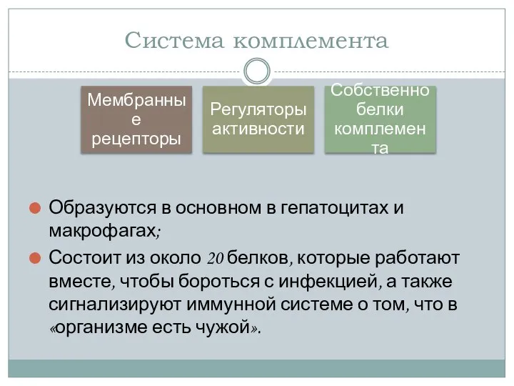 Система комплемента Образуются в основном в гепатоцитах и макрофагах; Состоит из