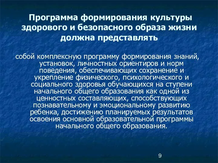 Программа формирования культуры здорового и безопасного образа жизни должна представлять собой