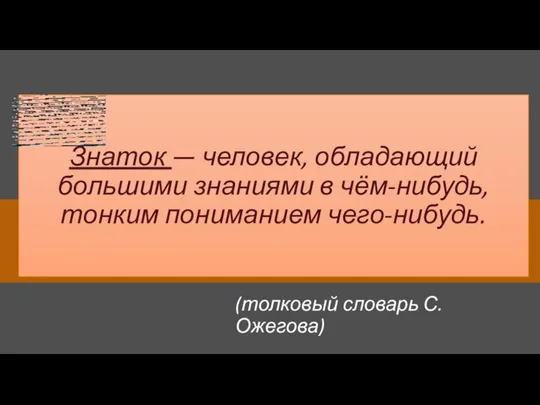 Знаток — человек, обладающий большими знаниями в чём-нибудь, тонким пониманием чего-нибудь. (толковый словарь С. Ожегова)