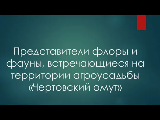 Представители флоры и фауны, встречающиеся на территории агроусадьбы «Чертовский омут»