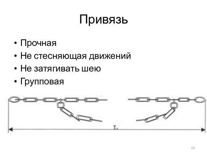 Привязь Прочная Не стесняющая движений Не затягивать шею Групповая