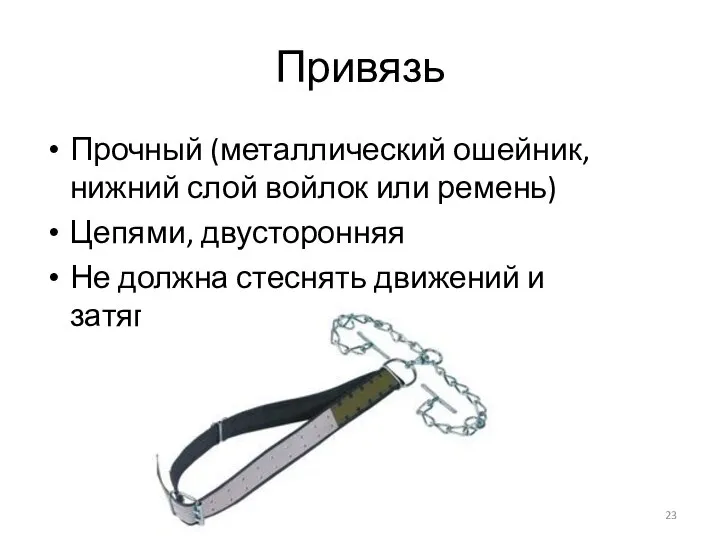 Привязь Прочный (металлический ошейник, нижний слой войлок или ремень) Цепями, двусторонняя