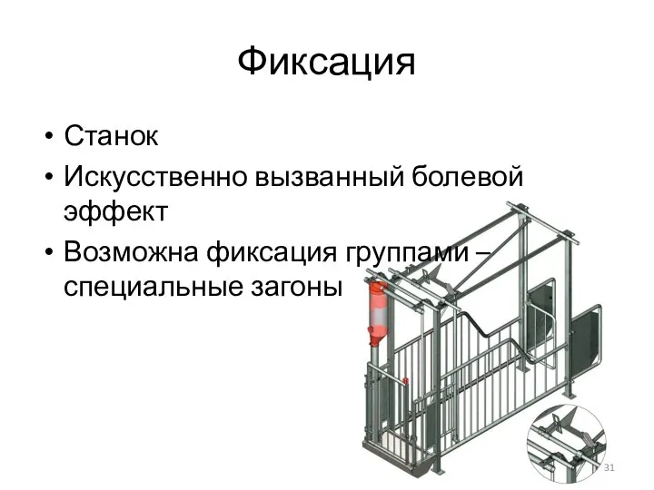 Фиксация Станок Искусственно вызванный болевой эффект Возможна фиксация группами – специальные загоны