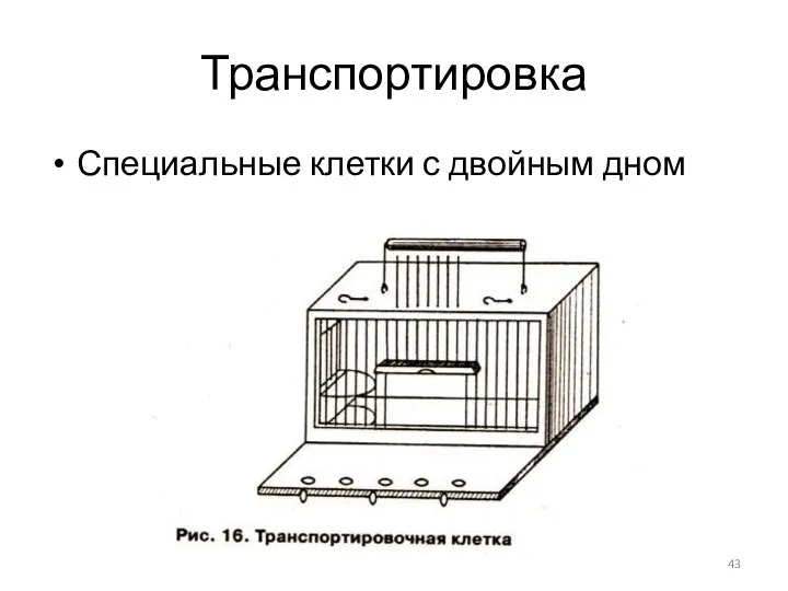 Транспортировка Специальные клетки с двойным дном