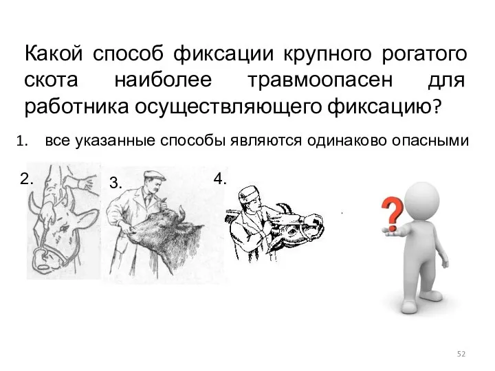 Какой способ фиксации крупного рогатого скота наиболее травмоопасен для работника осуществляющего