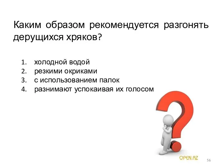 Каким образом рекомендуется разгонять дерущихся хряков? холодной водой резкими окриками с