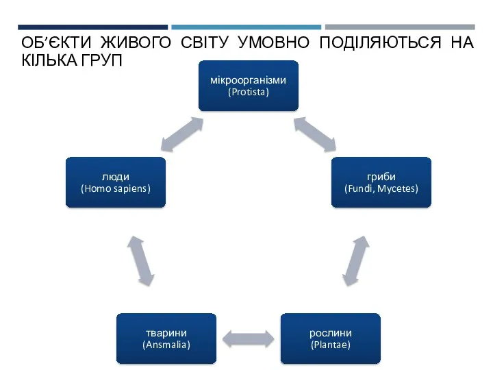 ОБ’ЄКТИ ЖИВОГО СВІТУ УМОВНО ПОДІЛЯЮТЬСЯ НА КІЛЬКА ГРУП